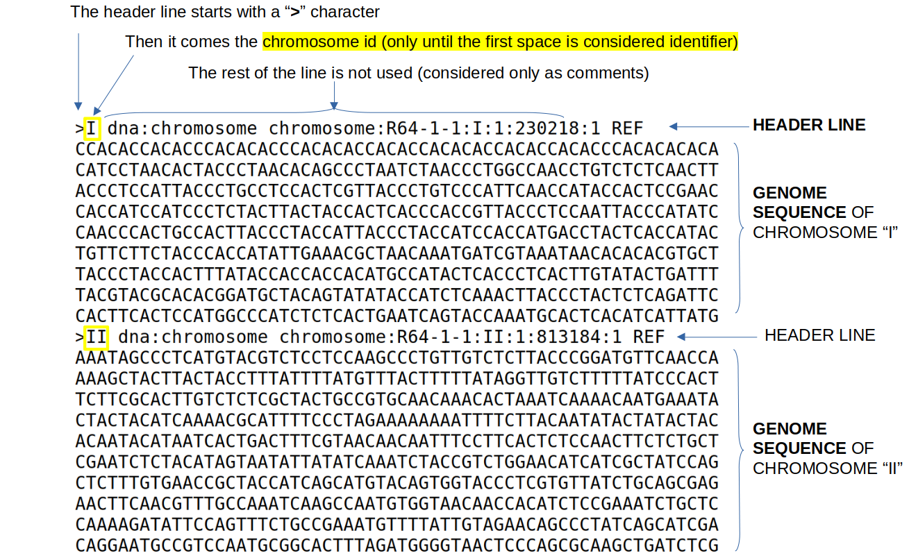 FASTA file format