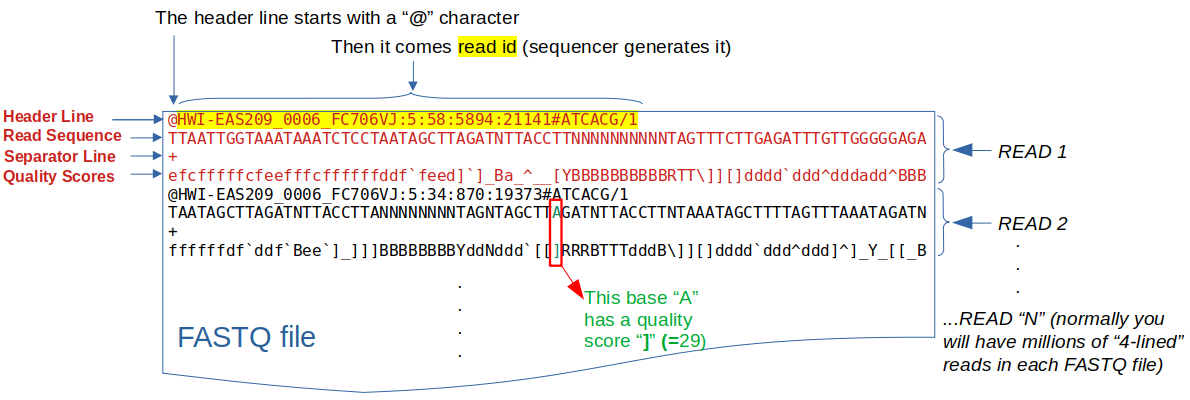 SeqNjoy Complete RNA Seq Workflows In Your Desktop