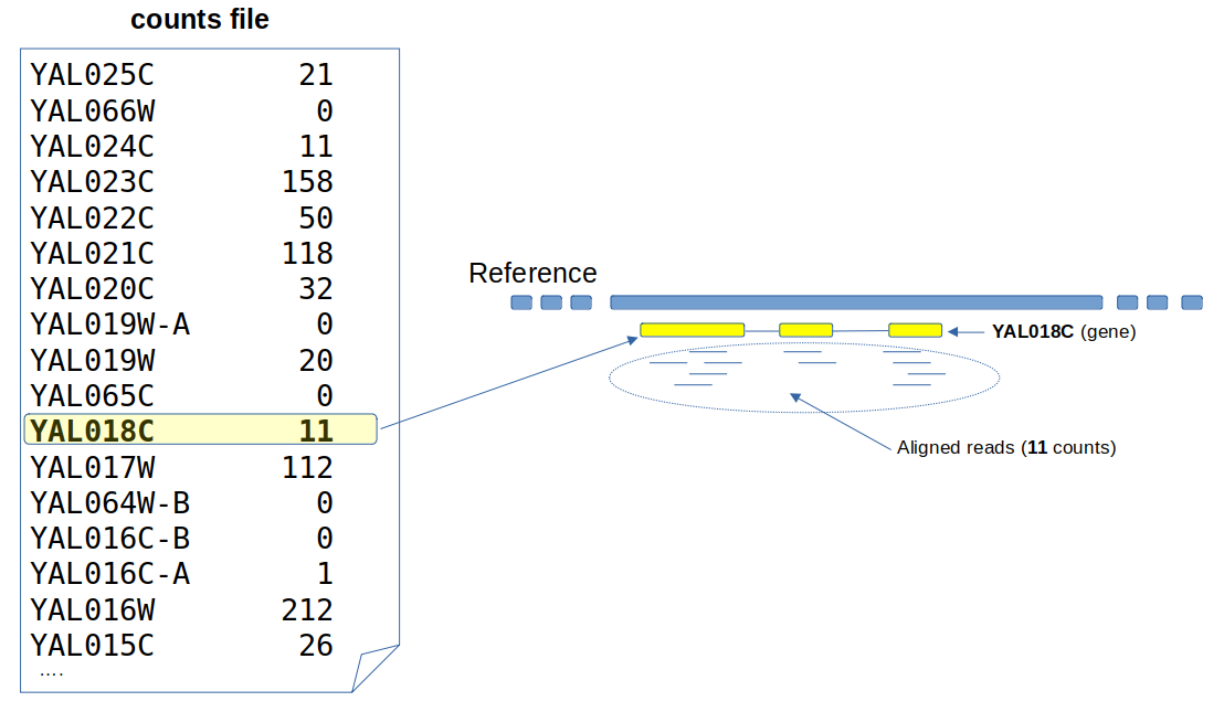 Counts file example