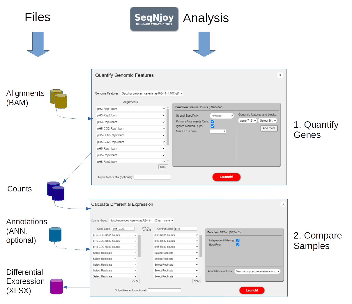 Analysis steps in SeqNjoy starting from Alignments (BAM/SAM) files