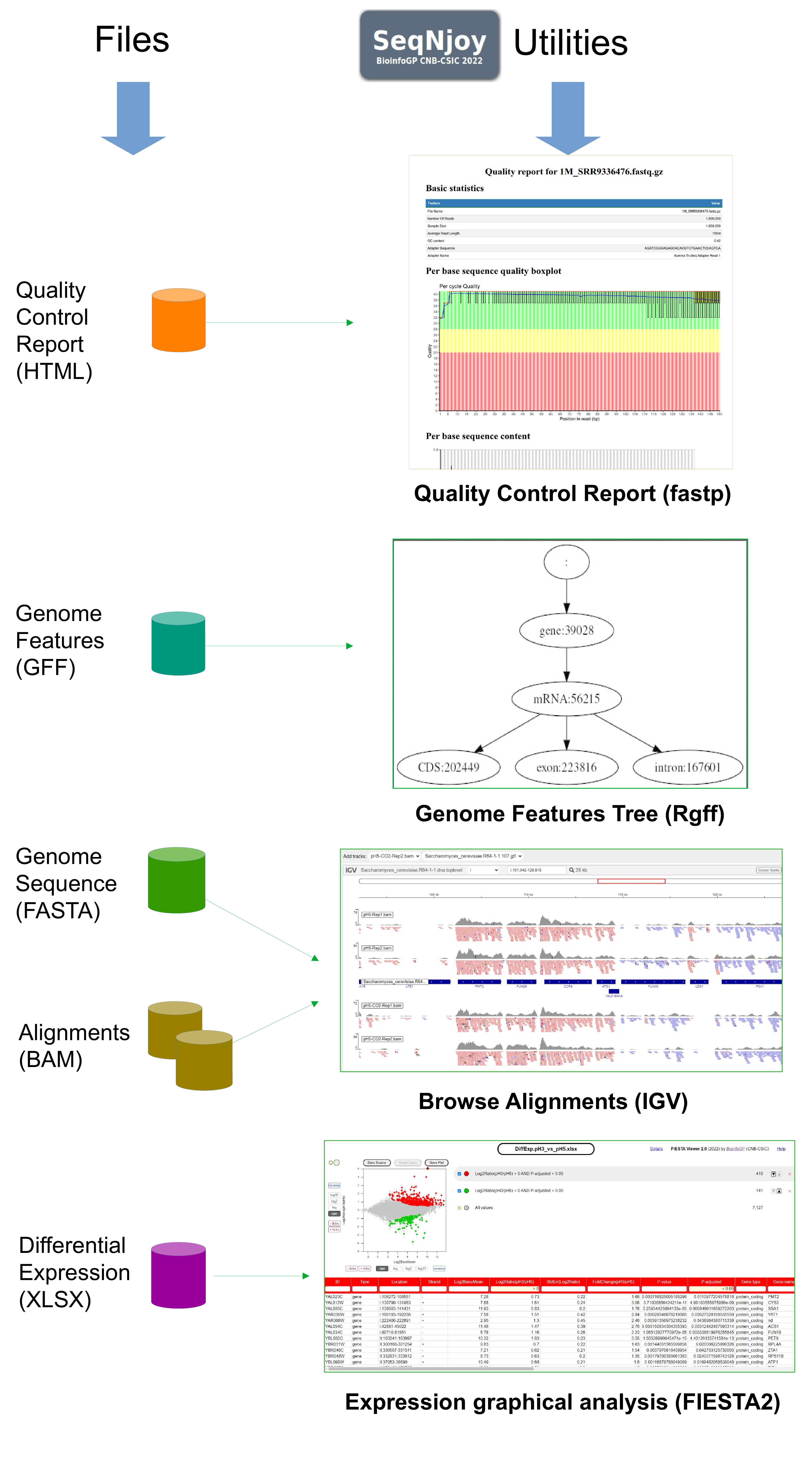 Utilities in SeqNjoy for file inspection/analysis