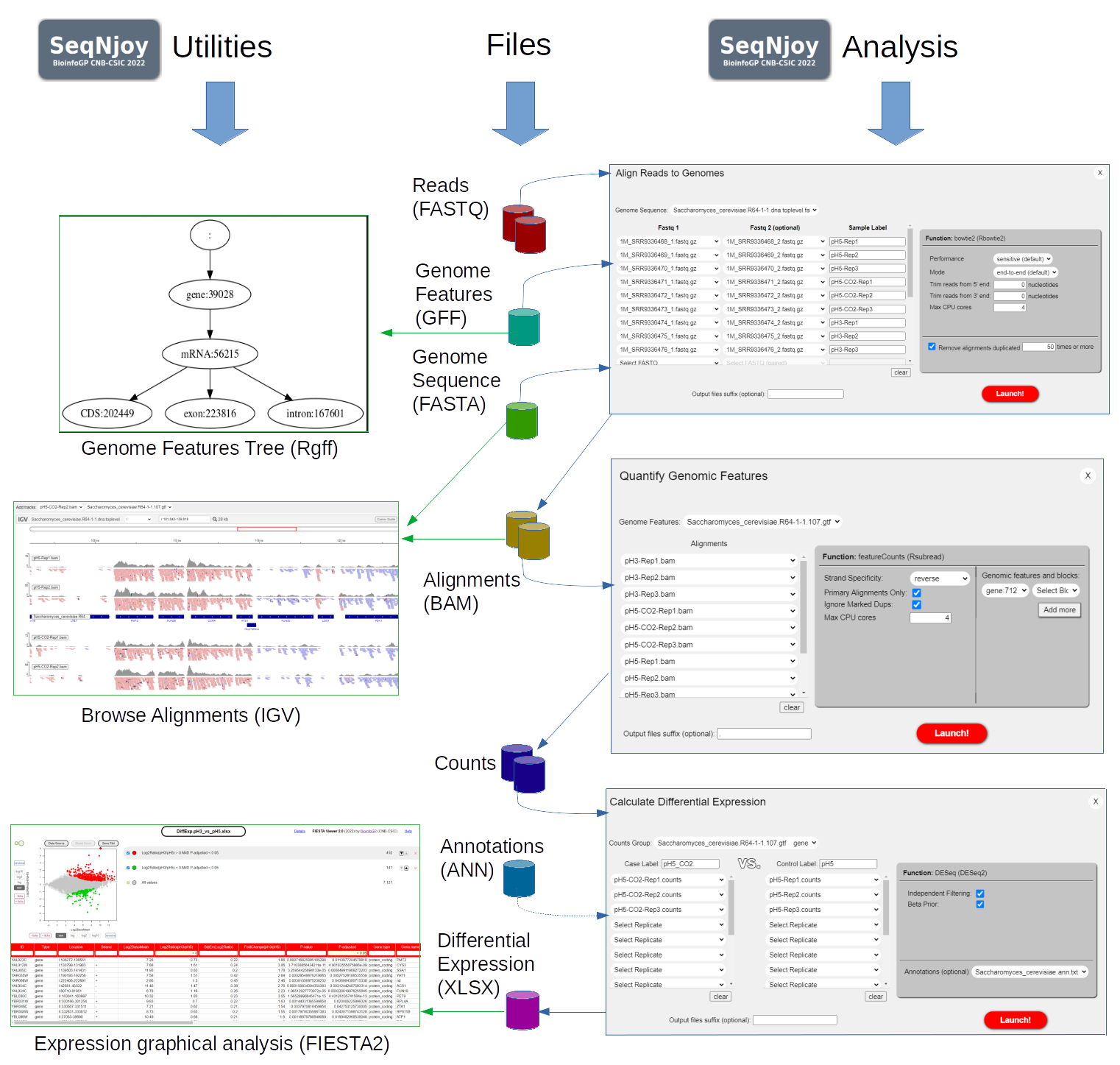 Functionalities in SeqNjoy.