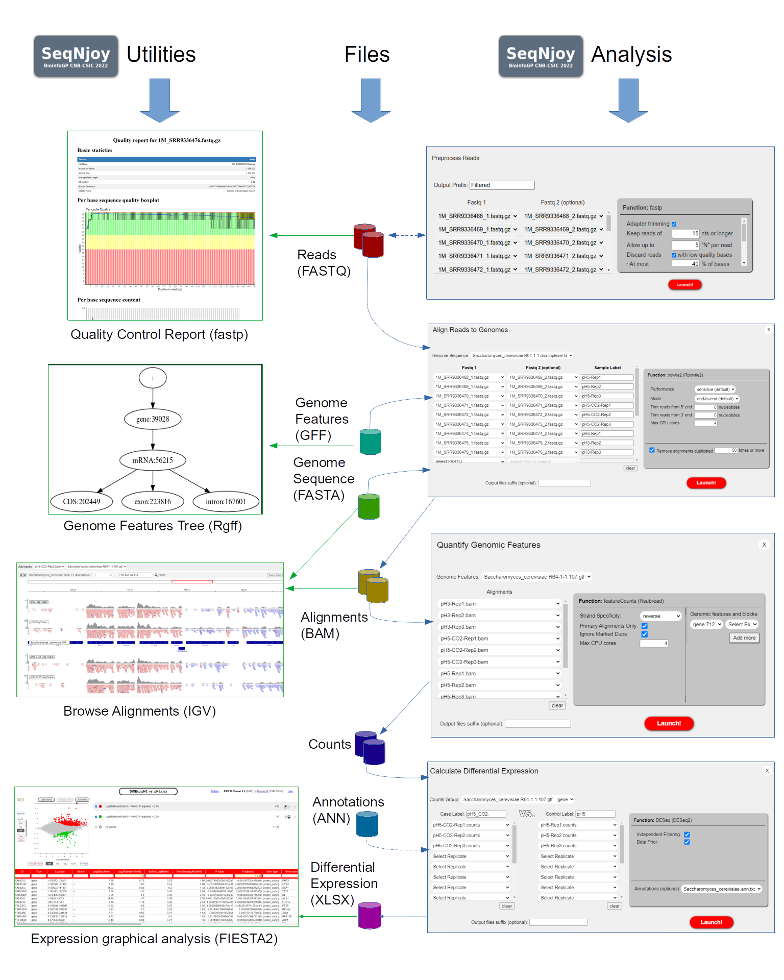 Overview of the SeqNjoy workflow, showing the analysis steps (right), the types of files used (center), and the utilities available for file inspection (left).