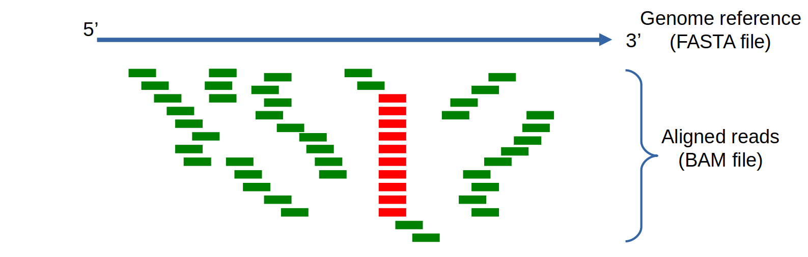 Duplicated reads (in <span style="color: #ff0000">red</span>).