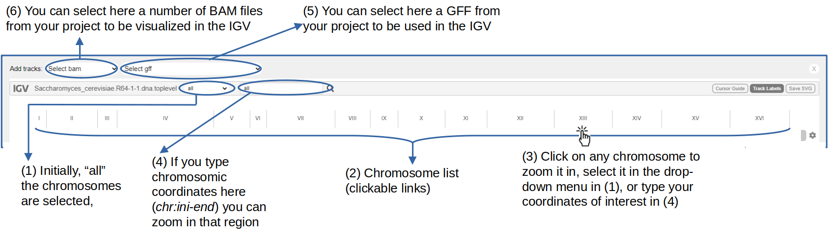 IGV launched with a FASTA file as input